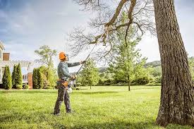 Trusted Valley View, PA Tree Services Experts